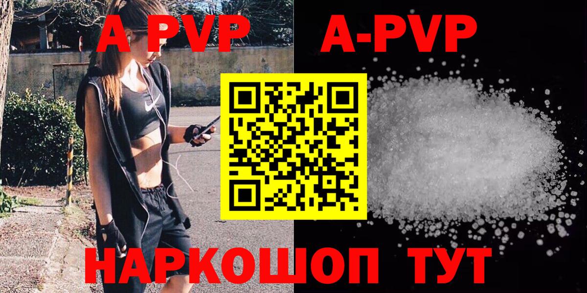 Alfa_PVP СК КРИС Балашов