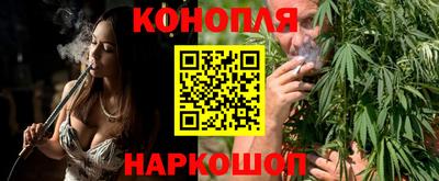 крисы Партизанск