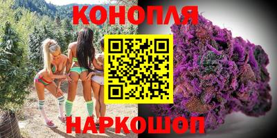 крисы Партизанск